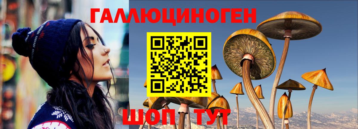 Шадринск  Псилоцибиновые грибы Magic Shrooms  Псилоцибиновые грибы ЛСД  Вход с VPN 